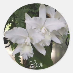 Redonda Orchids Love Pegatina