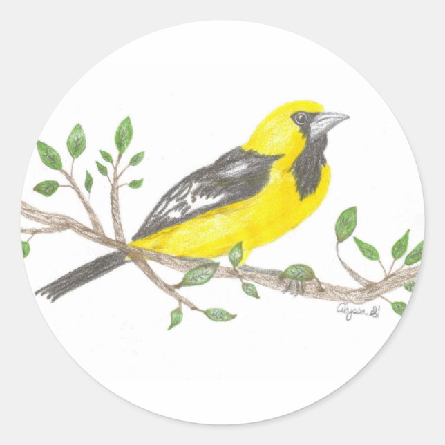 Redonda Oriole pegatina (Anverso)