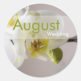 Redonda Orquídea Blanca ・ Pegatina Boda de Agosto