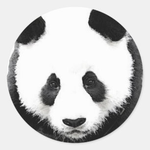 Redonda Panda Round Pegatina - Black & White Pop Art