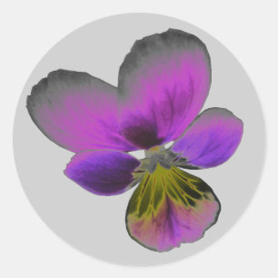 Redonda Pansy Wild Dark Purple Pegatina