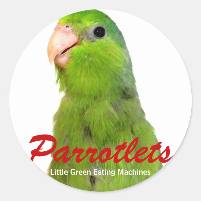 Redonda Parrolet Aves pegatina arte Parrot Green Parrotlet (Anverso)