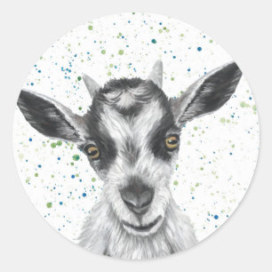 Redonda Patty Goat Pegatina