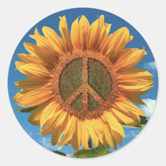 Redonda Paz en Ucrania Pegatina de girasoles