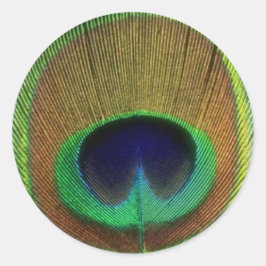 Redonda Peacock Feather Pegatina