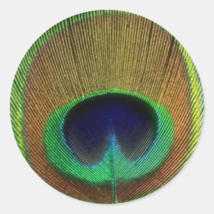 Redonda Peacock Feather Pegatina