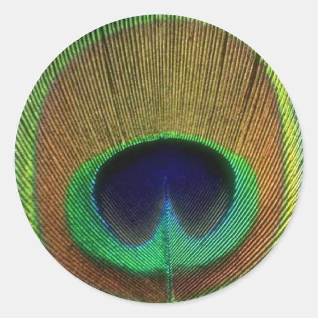 Redonda Peacock Feather Pegatina (Anverso)