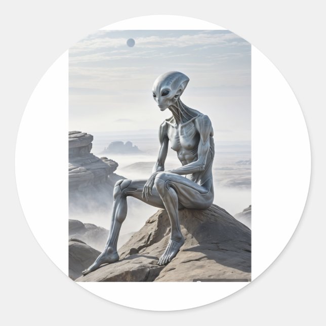 Redonda Pegatina (Anverso)