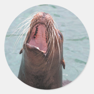 Redonda Pegatina abierto de Sea Lion Mouth