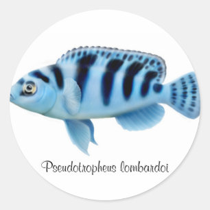 Redonda Pegatina africano del Cichlid del lombardoi de