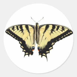 Redonda Pegatina amarillo del ~ de Swallowtail