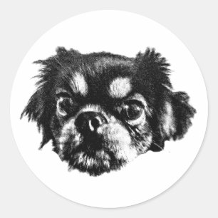 Redonda Pegatina audaz de Pekingese – Cara en blanco y neg
