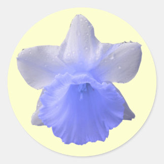 Redonda Pegatina Azul Daffodil