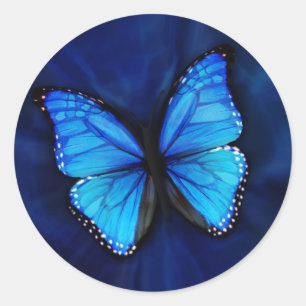 Redonda Pegatina azul de la mariposa