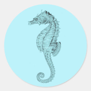 Redonda Pegatina Azure Seahorse