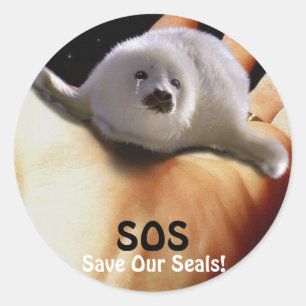 Redonda Pegatina BABY HARP SEAL Anti Seal-Hunt