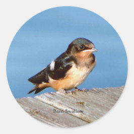 Redonda Pegatina Barn Swallow