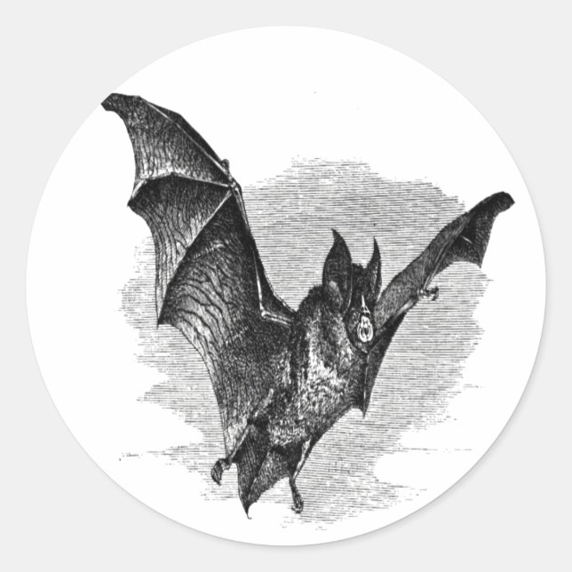 Redonda Pegatina Bat (Anverso)