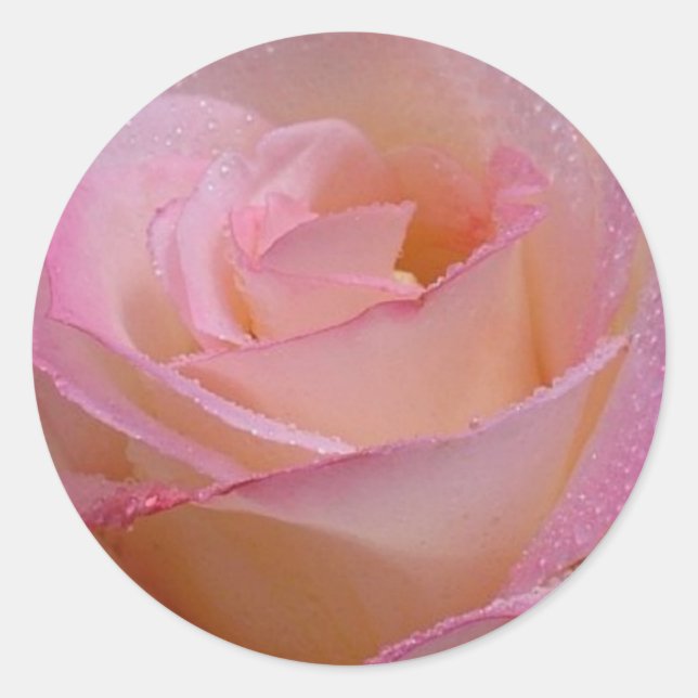 Redonda Pegatina Beautiful Rosa (Anverso)