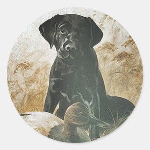 Redonda PEGATINA Black Lab labrador retriever decoy dog