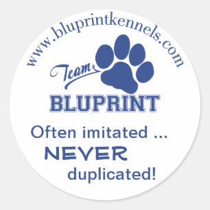 Redonda Pegatina BluPrint del equipo: A menudo imitado nun