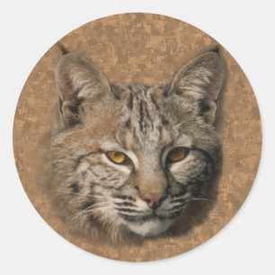Redonda Pegatina Bobcat