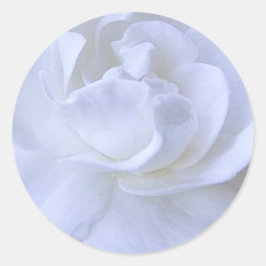 Redonda Pegatina Boda de la Rosa Blanca