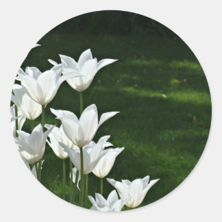 Redonda Pegatina Boda de tulipanes blancos