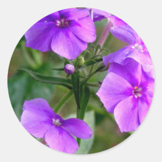 Redonda Pegatina bonito Purple Wildflowers