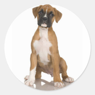 Redonda Pegatina Boxer