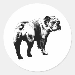 Redonda Pegatina Bulldog, Corte Limpio