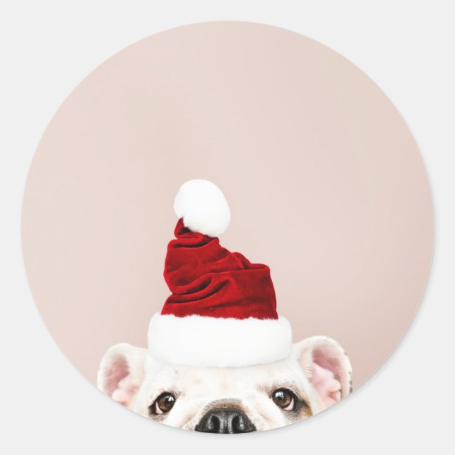 Redonda PEGATINA BULLDOG de navidades (Anverso)