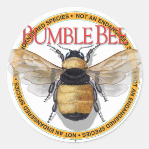 Redonda Pegatina Bumble Bee