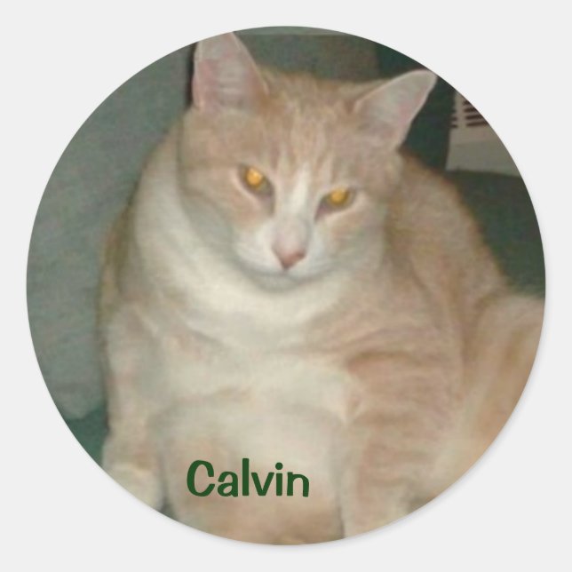REDONDA PEGATINA CALVIN (Anverso)