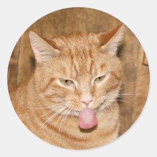 Redonda Pegatina Cat razzberry