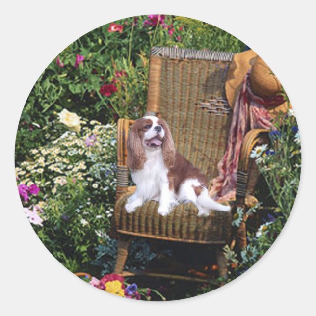 Redonda Pegatina Cavalier King Charles Spaniel (Anverso)