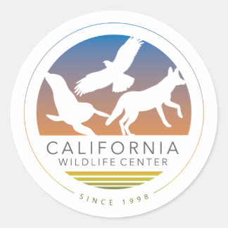 Redonda Pegatina con logotipo de seis CWC