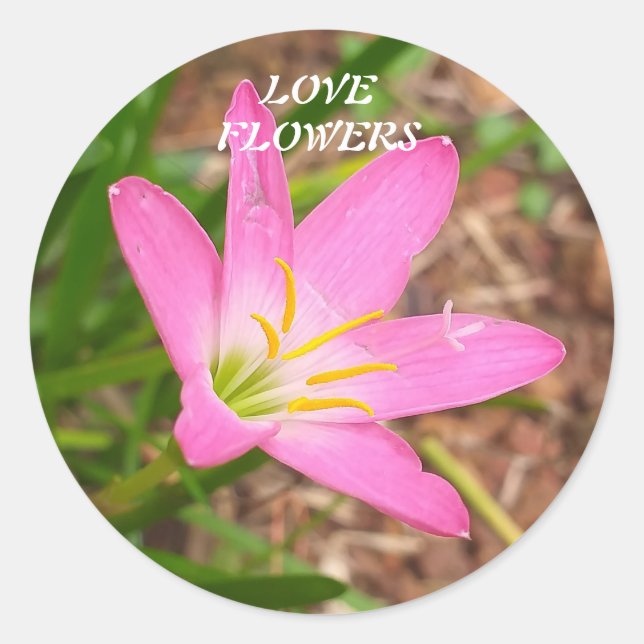 Redonda Pegatina con mensaje relacionado con la naturaleza (Anverso)