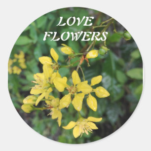 Redonda Pegatina con mensaje relacionado con la naturaleza