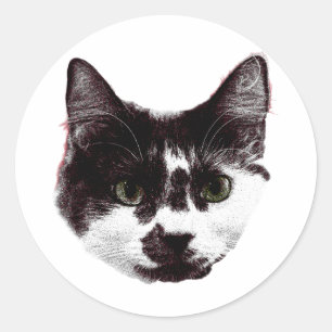 Redonda Pegatina con una Mirada Fija Pegatina de Gato de