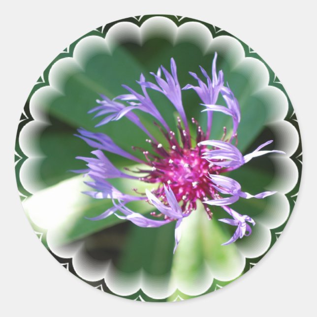 Redonda Pegatina Cornflowers (Anverso)