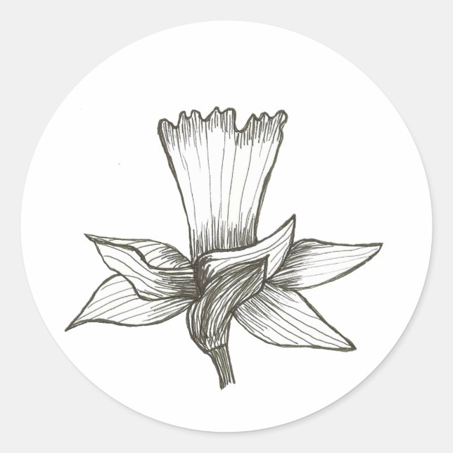 Redonda Pegatina Daffodil (Anverso)