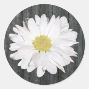 Redonda Pegatina Daisy & Barnwood
