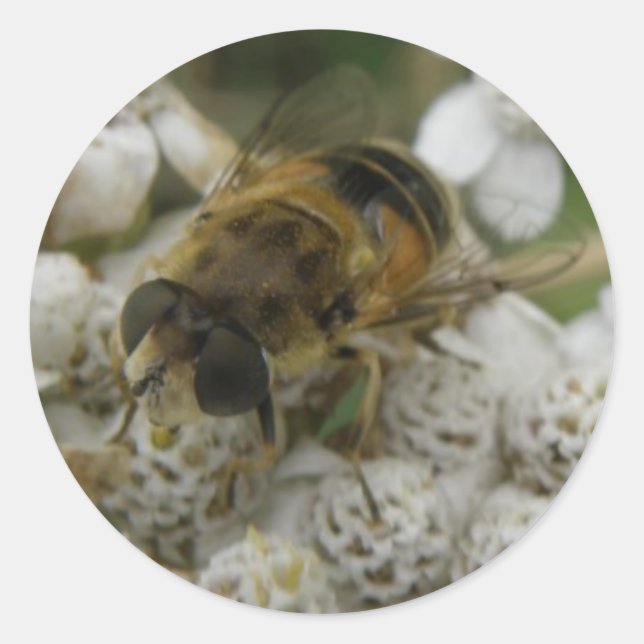 Redonda Pegatina de abejas y flores (Anverso)