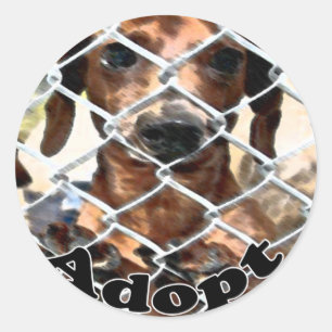 Redonda Pegatina de Adopción