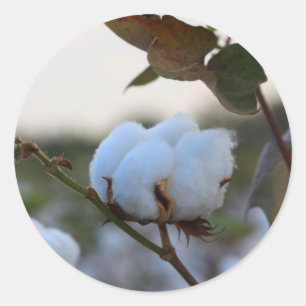 Redonda Pegatina de algodón