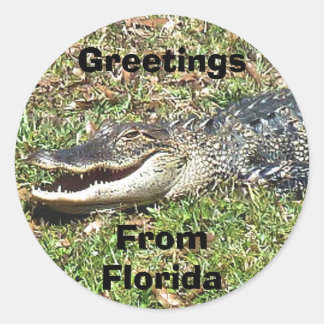 Redonda Pegatina De Alimentistas De Florida Saludos Desde 