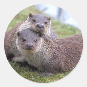 Redonda Pegatina de amor de Otterly