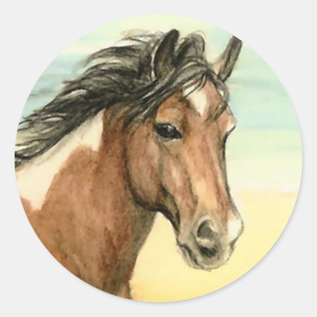 Redonda pegatina de arte de caballos de "Assateague Pony" (Anverso)