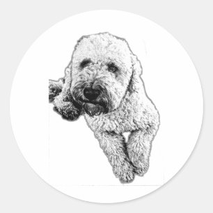 Redonda Pegatina de arte de tinta de cachorro Lagotto real